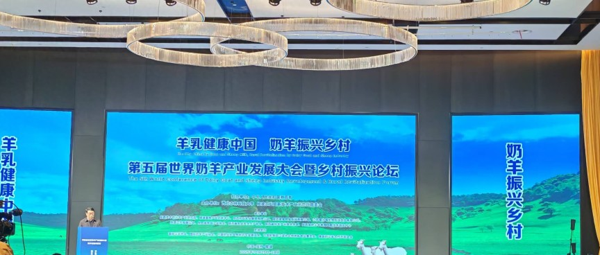 陇县奶羊产业相关场景