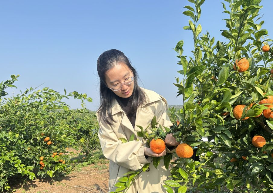 95后女掌门张子越：从绿头鸭到6000万田园综合体的八年跃迁