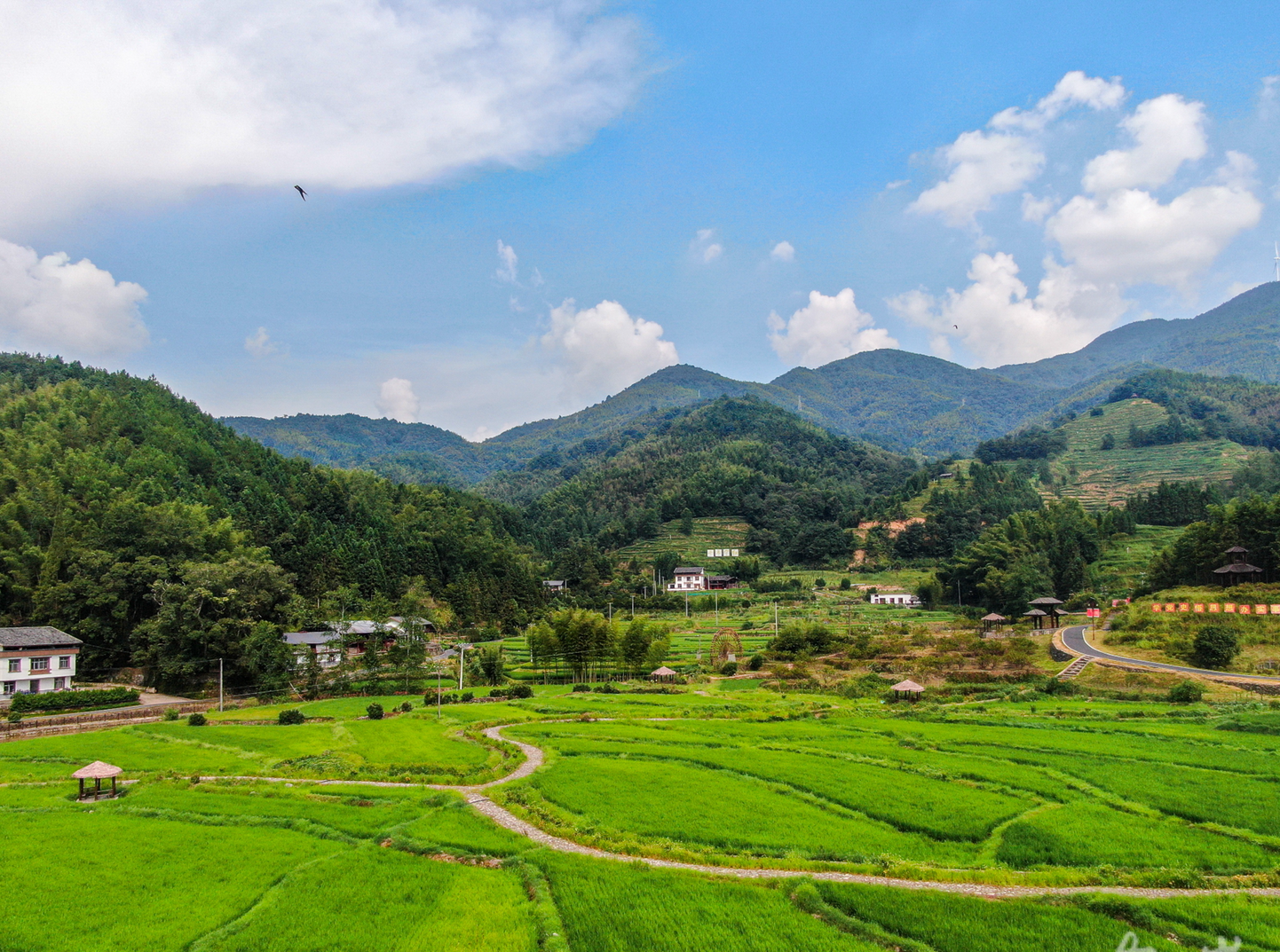 江西十个村庄入选全国美丽休闲乡村，铜鼓坪田村凭生态与文化魅力脱颖而出