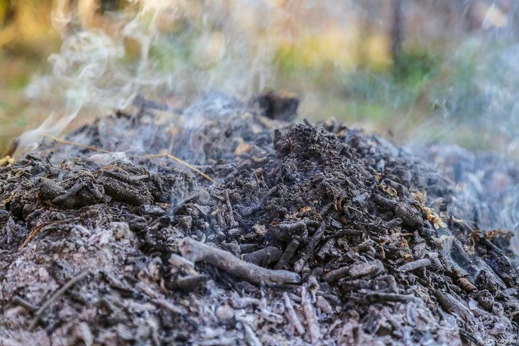 草木灰使用禁忌有哪些？使用草木灰需要注意什么？