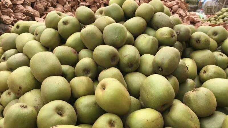 智慧农业+电商营销，广西“桂字号”品牌借院士智库强势出圈