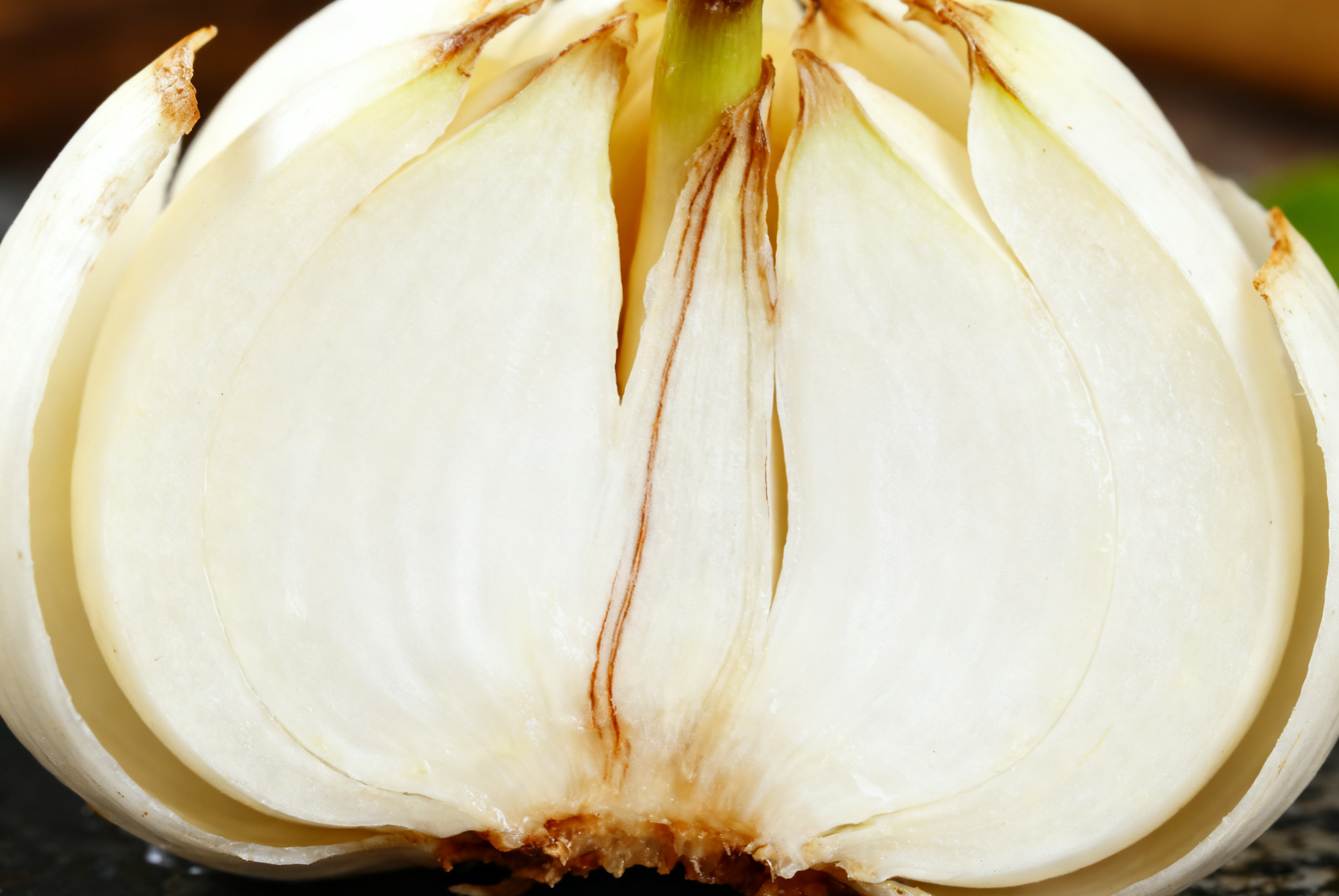 食用百合与观赏百合鳞茎剖面对比近景