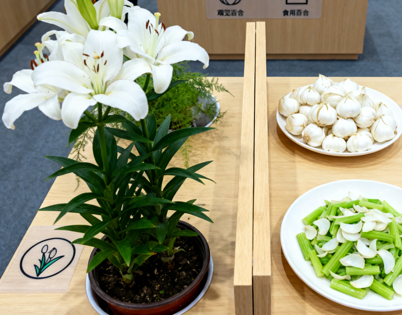 百合分类展示台,观赏盆栽与食用鳞茎远景