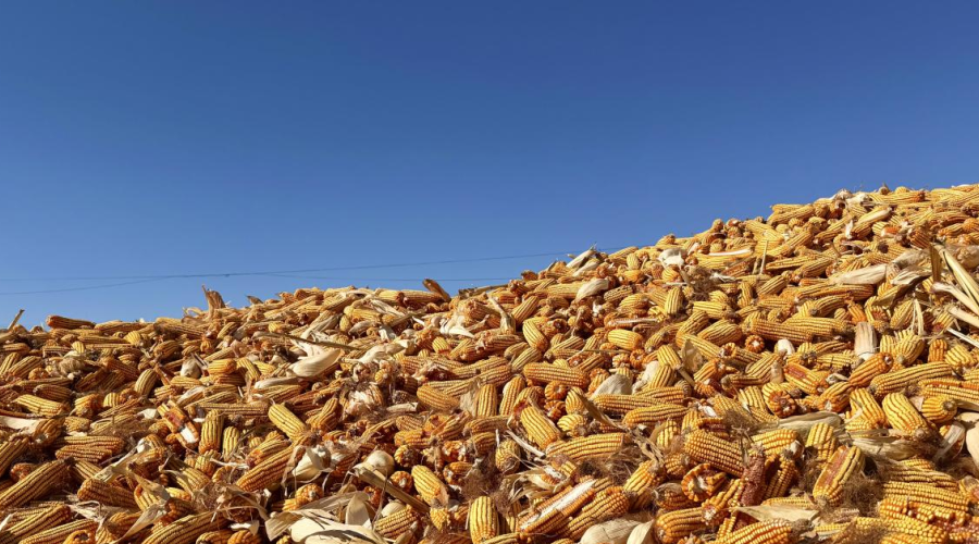 开鲁县高标准农田建设细节
