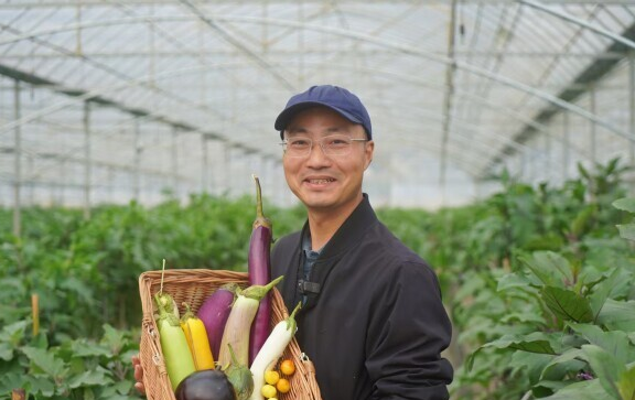 茄子团队工作图片