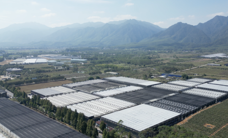 翁源兰花组培室