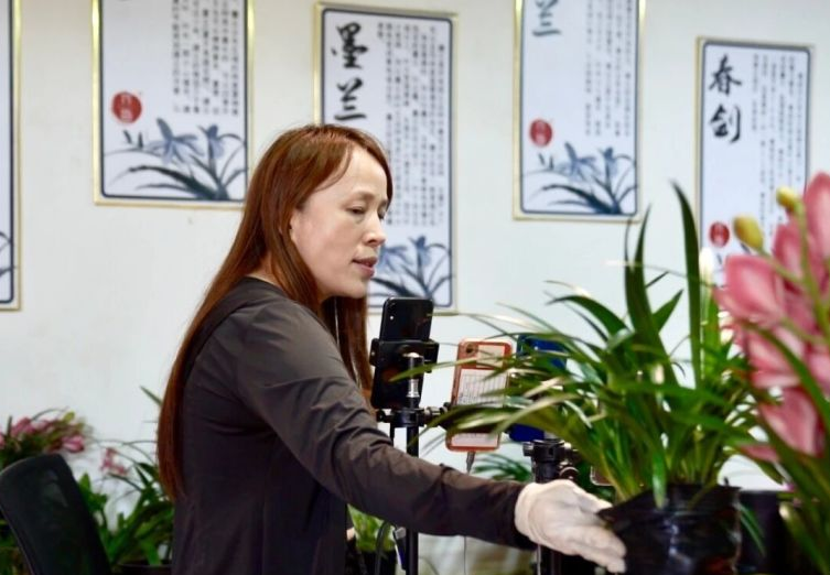 翁源兰花直播间