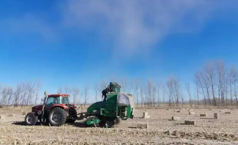 科尔沁冬闲新景：秸秆变财富，数据助丰收