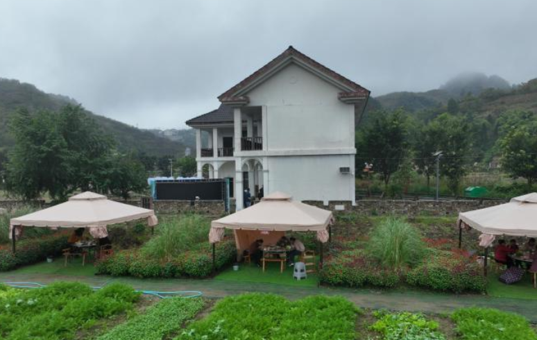 “新农人”崛起：科技与视野重塑西部菜都农业新图景